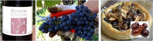 Seasonal Food & Wine