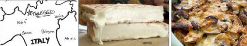 Taleggio Cheese